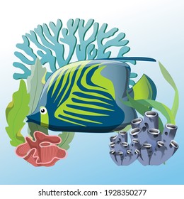 A marine fish is swimming under water and among with beautiful, colorful sea plants. Vector sea and marine image.
