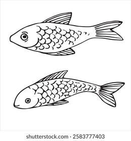 Marine fish. Vector illustration. Graphic style in ink.
Marine theme for posters, aquariums, prints, cards, decoration of restaurants.