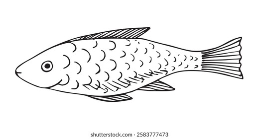 Marine fish. Vector illustration. Graphic style in ink.
Marine theme for posters, aquariums, prints, cards, decoration of restaurants.