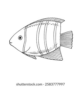 Marine fish. Vector illustration. Graphic style in ink.
Marine theme for posters, aquariums, prints, cards, decoration of restaurants.