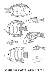 Marine fishes. Set of vector illustration. Graphic style in ink.
Marine theme for posters, aquariums, prints, cards, decoration of restaurants.