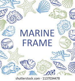 Marine frame seashell beach hand drawn sketch style illustration pattern isolated on white background illustration. Realistic various mollusk different forms.
