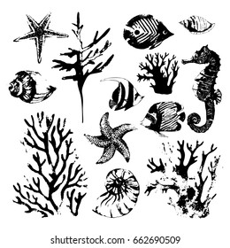 Marine grunge sea set. Under water wildlife inhabitants: seashells, coral reefs, fish, seahorse, starfish isolated on white background. Hand drawn rough illustration