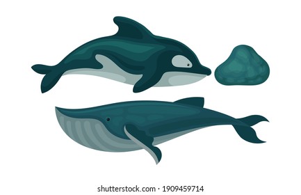 Marine Habitant with Dolphin and Whale Vector Set
