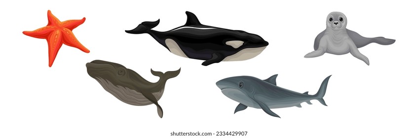 Marine Habitant with Orca Whale, Fur Seal, Starfish and Shark Vector Set