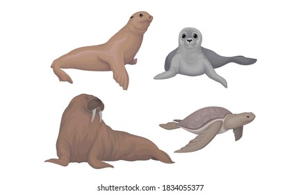 Marine Habitant with Sea Calf and Walrus Vector Set