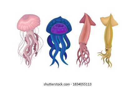 Marine Habitant with Umbrella-shaped Jellyfish and Squid Vector Set