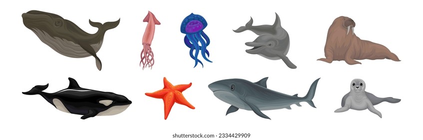 Marine Habitant with Whale, Squid, Dolphin, Walrus, Orca, Starfish, Shark and Fur Seal Vector Set