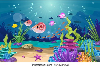 marine habitats and the beauty of coral. There are anemones, fish and reefs.