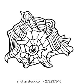 Marine hand drawn shell. Sketch cut-out vector illustration.