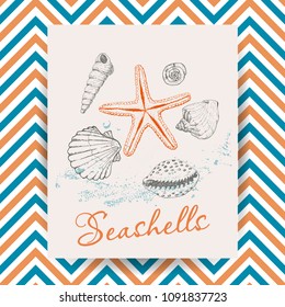 Marine Holidays cards with seashells. Vector illustration for your design