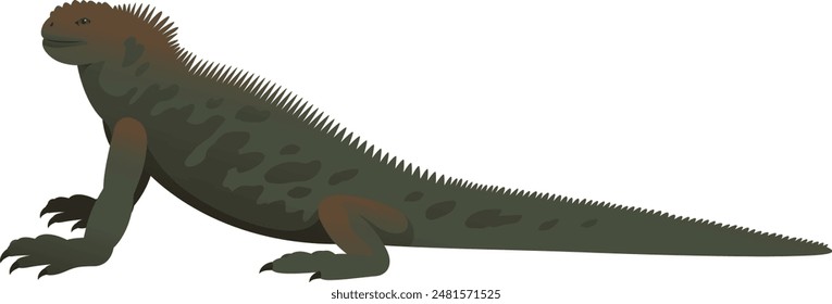 Marine iguana color vector illustration side view. Wild sea lizard, reptile isolated on white background. Herbivores animal.