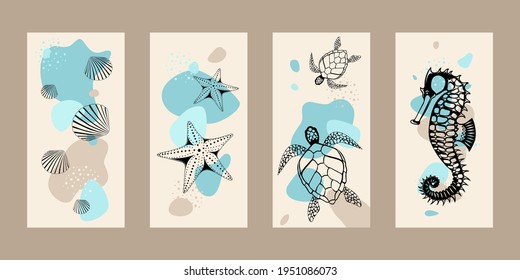 Marine illustration. Graphic image of seashells, skulls, seahorse, starfish on an abstract background. Contemporary art for prints and banners.