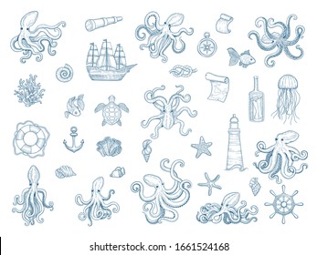 Marine illustrations. Octopus nautical set wild squid shells monster kraken vector hand drawn collection