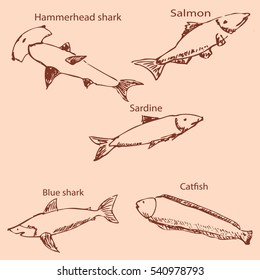 Marine inhabitants with names. Pencil sketch by hand. Vintage colors. Vector