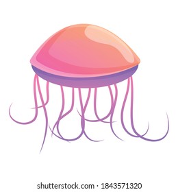 Marine jellyfish icon. Cartoon of marine jellyfish vector icon for web design isolated on white background