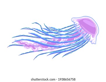 Marine jellyfish, with long tentacles. Bright blue light transparent jellyfish. Marine ocean fish. Vector isolated object on white background, cartoon illustration of animal