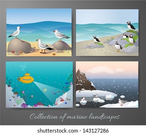 Marine landscapes collection. Vector illustration.