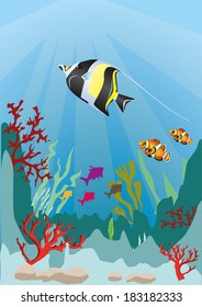 marine life
