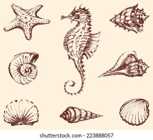 marine life