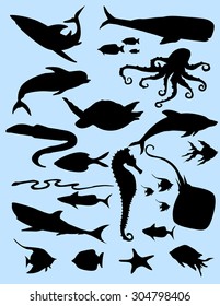 Marine Life