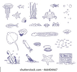 Marine life