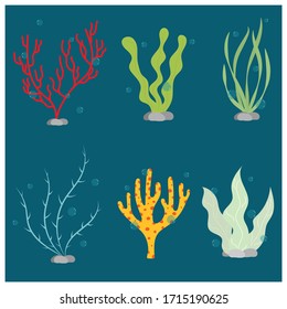 Marine life, algae, and corals. Vector illustration