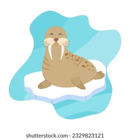 marine life, Antarctica, walrus in cartoon style vector illustration. Cute cheerful walrus sitting on an ice floe isolated on a white background.