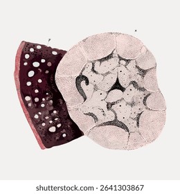 Marine life cells illustration isolated on white, vector.