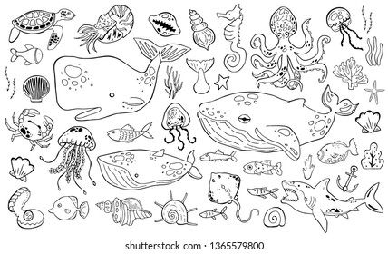 Marine life collection of sketche set. Sea animals.