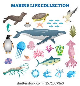 Marine life collection vector illustration. Sea and ocean wild fauna fishes. Swimming underwater creatures in exotic beaches. Fishes, whale and other aqua animals together as diversity visualization.