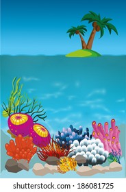 marine life with colorful fish