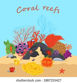 Marine life. Coral reef. Underwater beauty. Snorkeling, skin diving image. Ocean bottom nature background. Vertical graphic design in flat cartoon style. Editable vector illustration in bright colors