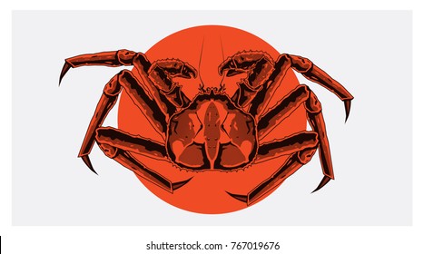 Marine Life Crab Illustration