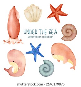 Marine Life Cute element Animal Life in under sea world. Underwater animal creature and fish, squid, starfish, sea cow, nautilus, mollusks. Vector Cartoon watercolor illuration