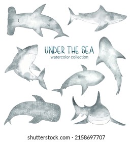 Marine Life Cute element Animal Life in under sea world. Underwater animal creature and fish, shark. Vector Cartoon watercolor illustration