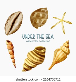 Marine Life Cute element Animal Life in under sea world. Underwater animal creature and shellfish. Vector Cartoon watercolor