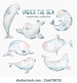 Marine Life Cute Element Animal Life In Under Sea World. Underwater Animal Creature And Dolphin. Vector Cartoon Watercolor