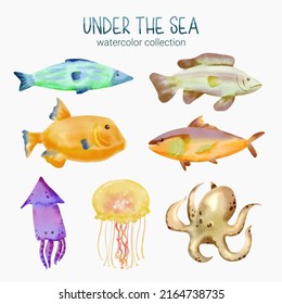 Marine Life Cute Element Animal Life In Under Sea World. Underwater Animal Creature And Fish, Jellyfish, Squid, Octopus, Tuna. Vector Cartoon Watercolor