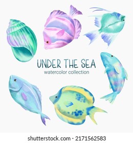 Marine Life Cute element Animal Life in under sea world. Underwater animal creature, shellfish and fish. Vector Cartoon watercolor illustration