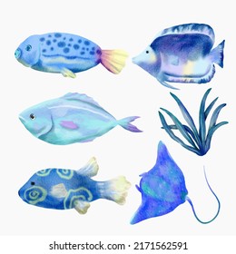 Marine Life Cute element Animal Life in under sea world. Underwater animal creature, stingray, algae and fish. Vector Cartoon watercolor illustration