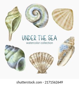 Marine Life Cute element Animal Life in under sea world. Underwater animal creature and shellfish. Vector Cartoon watercolor illustration
