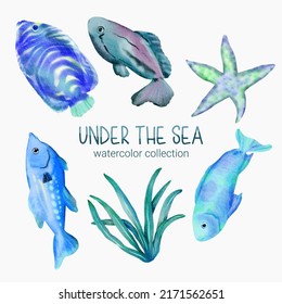 Marine Life Cute element Animal Life in under sea world. Underwater animal creature, starfish, algae and fish. Vector Cartoon watercolor illustration