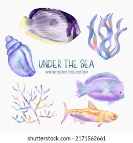 Marine Life Cute element Animal Life in under sea world. Underwater animal creature, starfish, algae, shellfish and fish. Vector Cartoon watercolor illustration