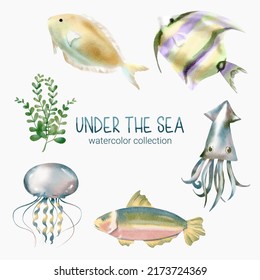 Marine Life Cute element Animal Life in under sea world. Underwater animal creature, jellyfish, squid, algae and fish. Vector Cartoon watercolor illustration