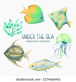 Marine Life Cute element Animal Life in under sea world. Underwater animal creature, jellyfish, algae and fish. Vector Cartoon watercolor illustration