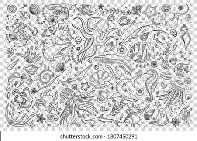 Juego de doodles de vida marina. Colección de plantillas dibujadas a mano esboza patrones de diferentes peces marinos y oceánicos tiburones tortugas ostras de pulpo. Animales en la ilustración de la naturaleza del medio ambiente de vida silvestre.