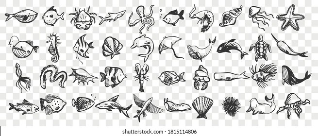 Marine life doodle set. Collection of hand drawn templates sketches patterns of different sea and ocean fish sharks turtles octopus oyster. Animals in wildlife enviroment nature illustration.