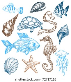 Marine life drawing