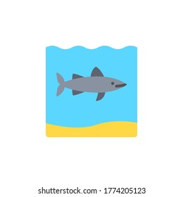 marine life elements, vector infographic icons shark